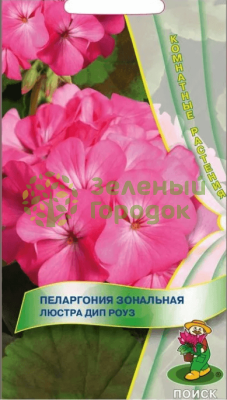 Пеларгония зональная Люстра Дип Роуз (ЦВ) 5шт Пеларгония зональная Люстра Дип Роуз (ЦВ) 5шт
