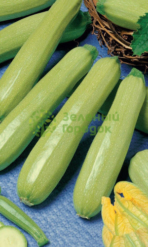 Кабачок Якорь (Марс) белый пакет 2г Кабачок Якорь (Марс) белый пакет 2г