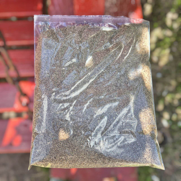 Семена "Мятлик Луговой" Markus Дания 250г