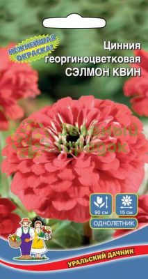 Цинния георгиноцветковая Сэлмон Квин УД 0,2г