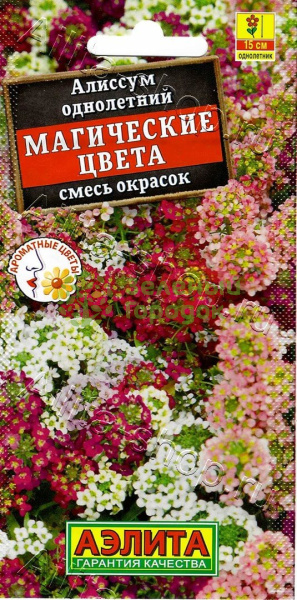 Алиссум Магические цвета АЭ 0,03г Алиссум Магические цвета АЭ 0,03г