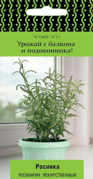 Розмарин лекарственный Росинка (сер. Четыре лета) (ЦВ) 12шт Розмарин лекарственный Росинка (сер. Четыре лета) (ЦВ) 12шт