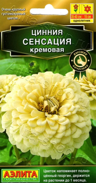 Цинния Сенсация кремовая АЭ 12шт