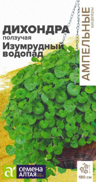 Дихондра Изумрудный Водопад SA 3шт