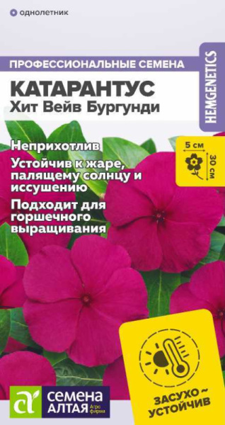 Катарантус Хит Вейв Бургунди SA 5шт Катарантус Хит Вейв Бургунди SA 5шт