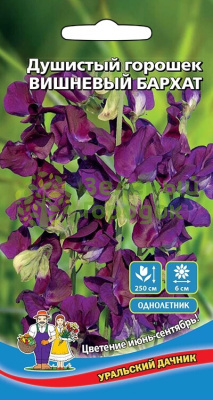 Душистый горошек Вишневый бархат УД 10шт