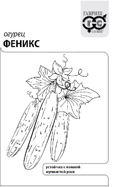 Огурец Феникс ГВ белый пакет 0,5г Огурец Феникс ГВ белый пакет 0,5г