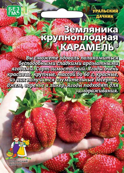 Земляника Карамель крупноплодная УД Б/Ф 10шт Земляника Карамель крупноплодная УД Б/Ф 10шт