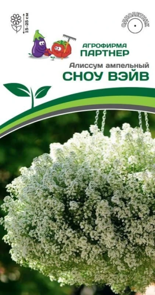 Алиссум ампельный СНОУ ВЭЙВ 10шт в амп Алиссум ампельный СНОУ ВЭЙВ 10шт в амп