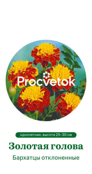 Бархатцы отклоненные Золотая голова Германия Pro 0,5г