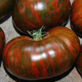 Семена томата_Полосатый шоколад