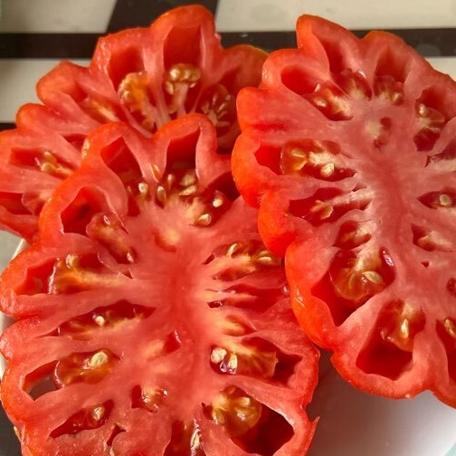 Семена томата Нина