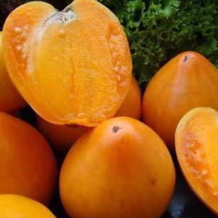 Семена томата Медовый спас