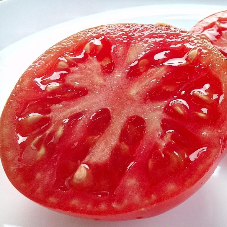 Семена томата_Монгол карлик