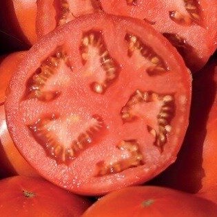 Семена томатов_Бобкат