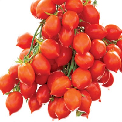 Семена томата_Поцелуй