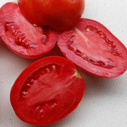 Семена томата рубиновый кулон