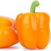 Перец_Марк_Аэлита