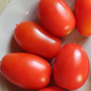 Семена томата_Челнок