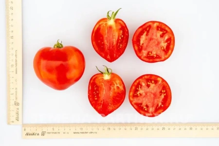 Томат ТОРЕАДОР F1 2-ной пак. 10шт Томат ТОРЕАДОР F1 2-ной пак. 10шт