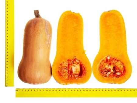 Тыква СТРАДИВАРИ 10шт