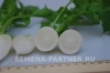 Редис СНЕЖОК 2г Редис СНЕЖОК 2г