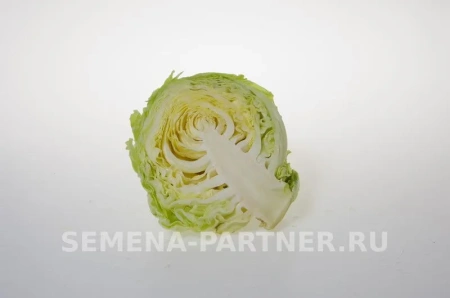 Капуста б/к НАСТЯ F1 0,2г