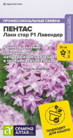 Пентас Лаки стар F1 Лавендер ланцетовидный SA 3шт