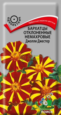 Бархатцы отклоненные немахровые Джолли Джестер (ЦВ) 0,2г