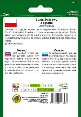 Свекла Египетская плоская Польша 20г