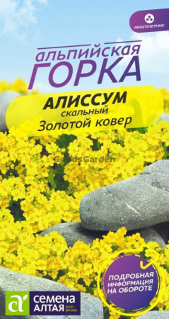 Алиссум Золотой Ковер SA 0,1г