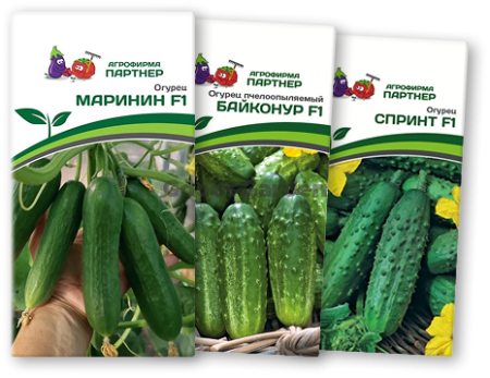 ! Огурец МАРИНИН F1 + БАЙКОНУР F1 + СПРИНТ F1