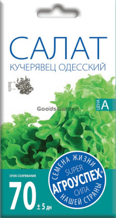 Салат Кучерявец Одесский АУ 0,5г