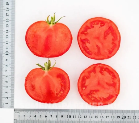 Томат КРИСТИАН F1 0,1г