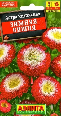 Астра Зимняя Вишня АЭ 0,2г