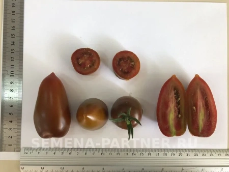 Томат БУРЫЙ САЛАДЕТ F1 2-ной пак. 5шт Томат БУРЫЙ САЛАДЕТ F1 2-ной пак. 5шт