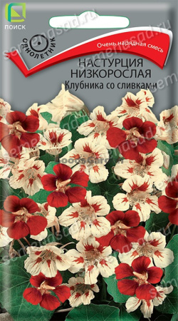 Настурция низкорослая Клубника со сливками (ЦВ) 1г