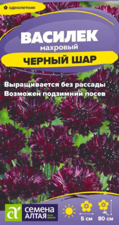 Василек Черный шар махровый SA 0,3г