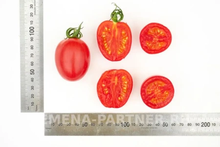 Томат МОНЕ F1 2-ной пак. 10шт Томат МОНЕ F1 2-ной пак. 10шт