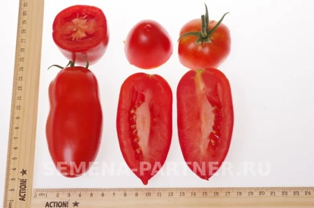 Томат ЦАРСКОЕ ИСКУШЕНИЕ F1 10шт