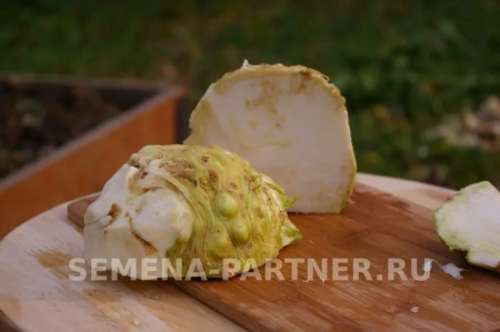 Сельдерей корневой АЛБИН 0,3г