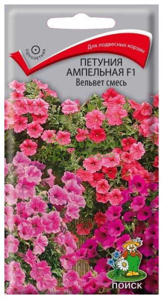 Петуния ампельная F1 Вельвет смесь (ЦВ) 5шт Петуния ампельная F1 Вельвет смесь (ЦВ) 5шт