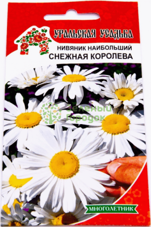 Нивяник наибольший Снежная королева УУ 0,15г