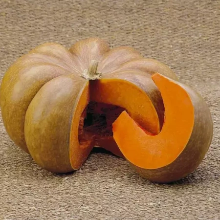 Тыква Мускат де Прованс Германия Pro 1г