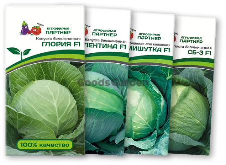 ! Капуста б/к ГЛОРИЯ F1 + ВАЛЕНТИНА F1 + МИШУТКА F1 + СБ-3 F1