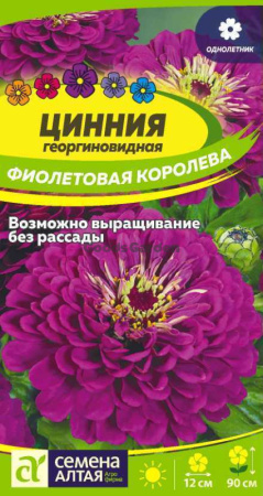 Цинния Фиолетовая Королева георгиновидная SA 0,3г