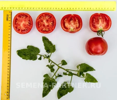 Томат ИМПЕРАТОРСКАЯ СЛАБОСТЬ F1 2-ной пак. 0,05г Томат ИМПЕРАТОРСКАЯ СЛАБОСТЬ F1 2-ной пак. 0,05г