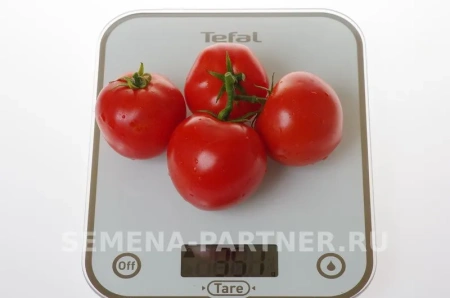 Томат СОФА F1 2-ной пак. 0,05г