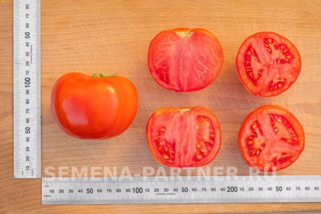 Томат МАДАМ ПОМПАДУР F1 2-ной пак. 10шт