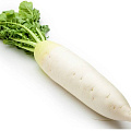 Дайкон Дайкон